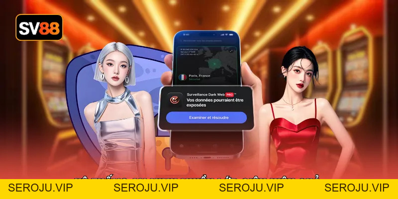 Chính Sách Bảo Mật - An Toàn Tài Khoản Suốt 24/7 Hoạt Động - seroju