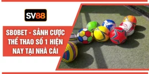Thể Thao SV88 - Nhịp Trận 24/7 Cơ Hội Thắng Không Ngừng - seroju